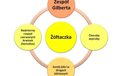 Schemat przedstawia żółtaczkę jako centralny element, powiązaną z zespołem Gilberta, chorobami wątroby, zastojem żółci i nadmiernym rozpadem czerwonych krwinek.