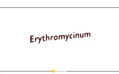 Napis "Erythromycinum" w kolorze brązowym, lekko pochylony.