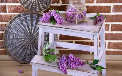 DIY Lawenda: Od zbioru po gotowe dekoracje Twój przewodnik