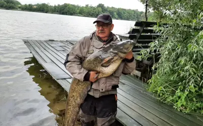 Wędkarz z okazałym sumem na brzegu jeziora Długie koło Szczytna.