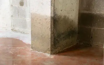 Wilgotne ściany i kałuże na podłodze piwnicy sugerują, że beton przepuszcza wodę. Widoczne ciemne zacieki.