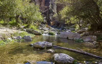 Un arroyo sereno fluye entre rocas y vegetación exuberante, formando pequeños saltos de agua. Los **canales de Padules** ofrecen un paisaje natural y refrescante.