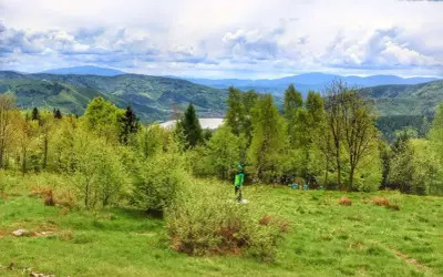 Zielona, chrobacza łąka z widokiem na jezioro i góry. Dziecko w zielonej kurtce stoi na skraju lasu.