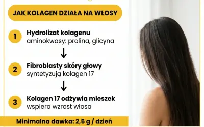 Jak kolagen działa na włosy: hydrolizat kolagenu odżywia mieszek włosowy, wspierając wzrost. Minimalna dawka 2,5 g/dzień.
