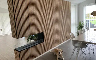 Vacker vägg med akustikpanel inspiration, en modern eldstad och en hund som vilar vid matbordet.
