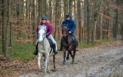 Stadnina koni Nawojowa - najlepsze stajnie i opinie jeźdźców