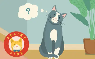 A curious cat sits, a thought bubble with a question mark above its head, pondering if cats know their names. A "Feline Fine" logo is nearby.