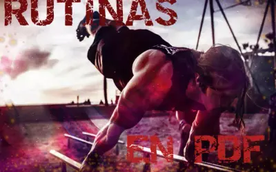 Rutinas de calistenia PDF gratis para entrenar sin gastar dinero
