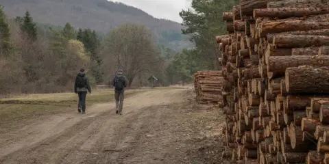 Dwóch turystów idzie drogą w kierunku lackiej góry, mijając stosy drewna.