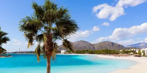 Traumhafter Blick auf den Can Picafort Strand mit Palmen, türkisblauem Wasser und Bergen im Hintergrund. Ein perfekter Urlaubstag.