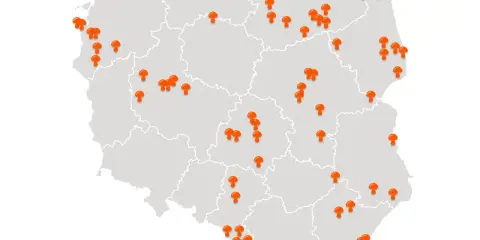 Gdzie na grzyby z noclegiem? TOP miejsca i porady eksperta