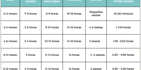 Tabla de sueño para bebés. Muestra las horas de sueño diario, nocturno y las siestas, así como el tiempo despierto entre sueños, para edades de 0 a 12 meses. Ideal para entender las ventanas de sueño de un bebé de 13 meses.
