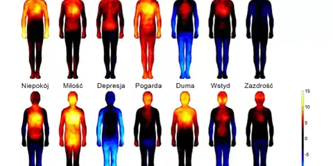 Wykresy przedstawiające rozkład ciepła w ciele przy różnych emocjach, od złości po zazdrość. Wewnętrzny konflikt może objawiać się w różnych obszarach.