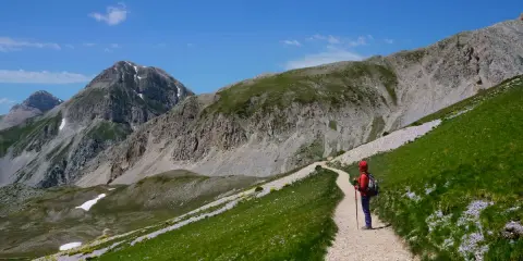 Escursionista sul cammino del Gran Sasso, tra prati verdi e fiori viola, con imponenti montagne sullo sfondo.