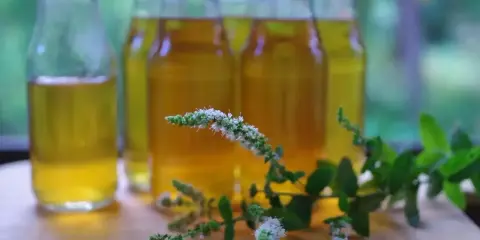 Butelki ze złotą nalewką z mięty, obok świeże gałązki mięty. Idealny nalewka z mięty przepis na lato.