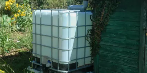 Installation récupérateur eau de pluie : un grand réservoir blanc relié à une gouttière, à côté d'une cabane verte envahie par le lierre.