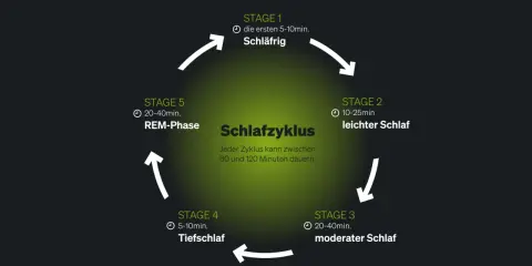 Schlafzyklus-Diagramm zeigt Stadien von leicht bis tief. Fehlender Tiefschlaf kann Ursache für Schlafstörungen sein.