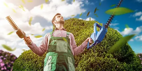 Un jardinier, pensif, tient deux taille-haies, prêt à savoir quand tailler les haies. Le ciel bleu et les feuilles volantes créent une scène idyllique.