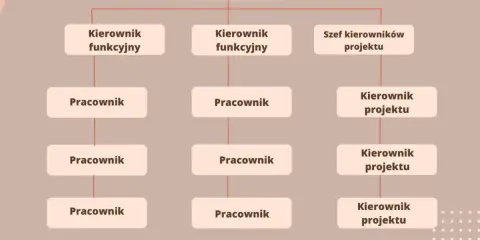Schemat przedstawia strukturę organizacyjną firmy: Dyrektor zarządzający, kierownicy funkcyjni i projektowi oraz pracownicy.