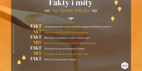 Mity i fakty o miodzie. Najlepsze właściwości ma miód spadziowy, warto go spożywać w celach medycznych. Miód może powodować alergie.