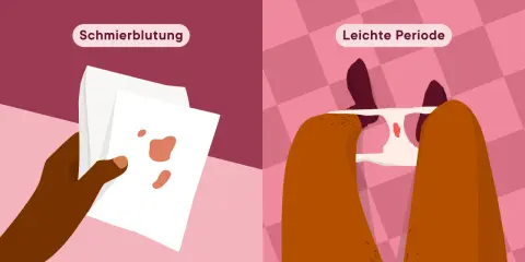 Vergleich: Minimale hellrote Blutung (Schmierblutung) im 3. Trimester vs. leichte Periode.