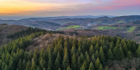 Blick über den Odenwald mit Nadelwald im Vordergrund und sanften Hügeln, grünen Wiesen und einem Dorf im Tal. Perfekt für Odenwald wandern.