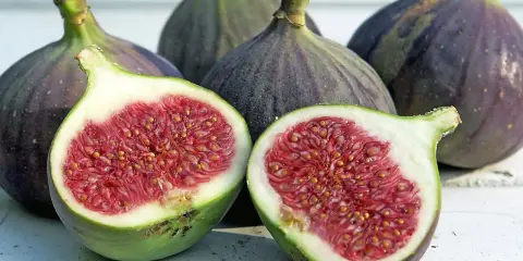 Frische Feigen, eine aufgeschnitten, zeigen ihr saftiges Inneres. Sie sind feigen gesund und ein Genuss.