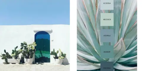 Puerta azul vibrante y cactus frente a pared blanca, junto a una paleta de colores que muestra el color complementario del verde en tonos azulados y verdosos.