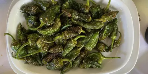 Pimientos de Padrón recién fritos, salpicados de sal gruesa, listos para disfrutar. ¡Así se preparan como freir pimientos de padron!