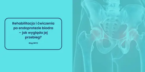 Rehabilitacja po endoprotezie stawu biodrowego: jak długo trwa i jak wygląda jej przebieg? Grafika przedstawia miednicę i staw biodrowy.