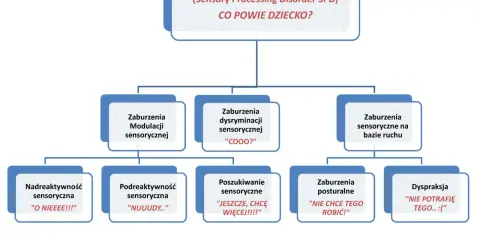 Zaburzenia sensoryczne: Uleczalne czy zarządzalne? Prawda o SI