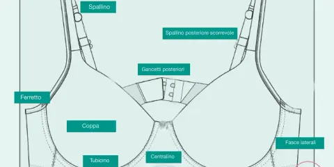 Schema di un reggiseno con etichette che indicano le parti: spallino, ferretto, coppa, tubicino, centralino, gancetti posteriori, fasce laterali. Le coppe sono disegnate per contenere le tette che escono dal reggiseno.