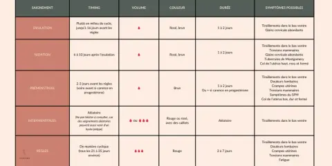 Tableau comparant différents types de saignements : ovulation, nidation, prémenstruel, intermenstruel, règles. Chaque type est décrit par son timing, volume, couleur, durée et symptômes possibles.