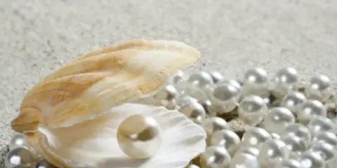 Piękna muszla skrywa perłę, a wokół rozsypane są inne rodzaje pereł naturalnych na piaszczystym tle.