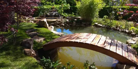 Un puente de madera cruza un estanque, parte de un jardín japonés. Pasos de piedra invitan a explorar.