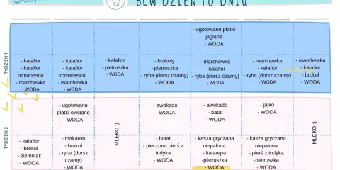 Tabela BLW: pierwszy miesiąc, tydzień 1 i 2. Jak rozszerzać dietę niemowlaka tabela z propozycjami posiłków i napojów.