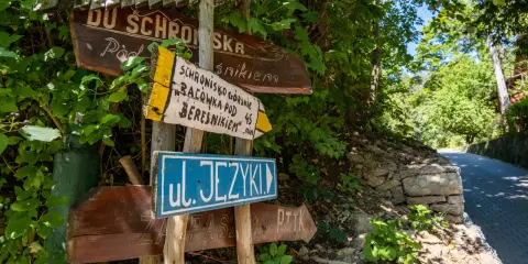 Drewniane drogowskazy turystyczne w lesie, wskazujące kierunek do schroniska i ulicy.