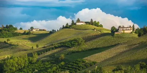Dolci colline con vigneti ordinati e case in cima, un paesaggio da sogno per un agricampeggio in Piemonte.