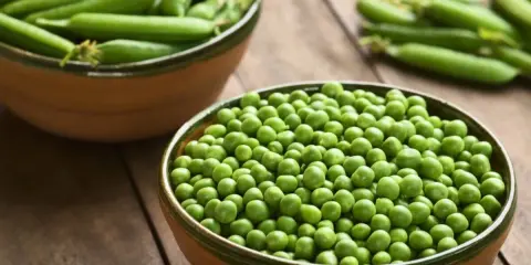 Dos cuencos llenos de guisantes frescos, uno con vainas y otro con granos sueltos. Descubre las guisantes propiedades y beneficios.