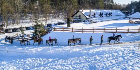 Jazda konna po śniegu w malowniczej scenerii. Idealne ferie zimowe 2026 pomorskie dla miłośników koni i zimy.