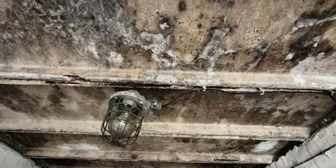 Wilgotny sufit garażu nieogrzewanego, z widoczną lampą przemysłową i śladami pleśni. Jaki tynk do garażu nieogrzewanego sprawdzi się w takich warunkach?