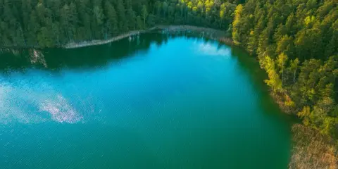 Zachwycające jezioro turkusowe otoczone gęstym lasem. Woda lśni, odbijając niebo i drzewa.