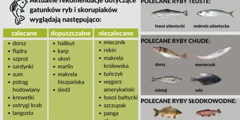 Zalecane, dopuszczalne i niezalecane nazwy ryb alfabetycznie. Tłuste, chude i słodkowodne ryby polecane do spożycia.