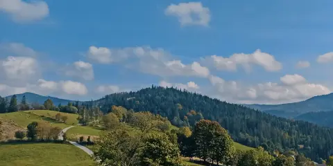 Zielony krajobraz Beskidów z krętą drogą, drzewami i lasem. To jedne z najpiękniejszych szlaków w Beskidach.
