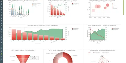 Panel z wykresami prezentującymi **rozwiązania business intelligence**, analizę przychodów, zysków i marż dla różnych kontrahentów.