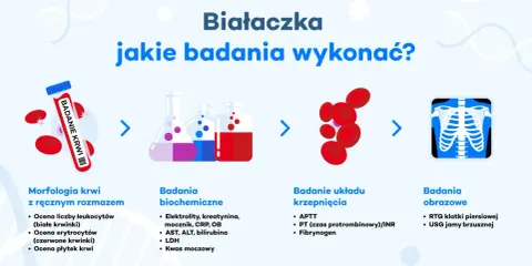 Białaczka: jakie badania wykonać? Schemat przedstawia morfologię krwi, badania biochemiczne, krzepnięcia i obrazowe.