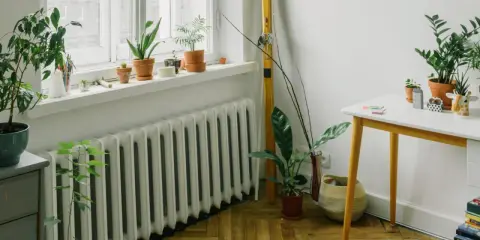 Un radiatore bianco sotto una finestra, con piante in vaso sul davanzale e sul pavimento. Ottimo esempio di dove posizionare i termosifoni per un ambiente accogliente.
