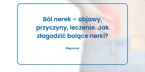Ból nerek – objawy, przyczyny, leczenie. Jak złagodzić bolące nerki? Poznaj domowe sposoby na ból nerek.