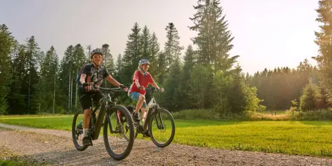 Para, jak wybrać rower elektryczny, cieszy się jazdą po leśnej ścieżce.