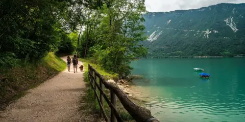 Passeggiata con il cane lungo il sentiero del lago di Santa Croce, con montagne verdi sullo sfondo e acque turchesi.